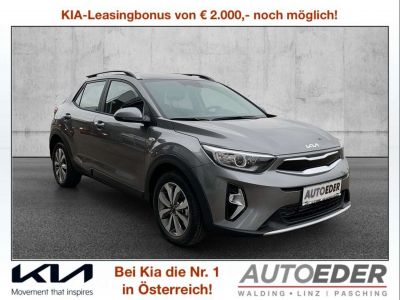 KIA Stonic Vorführwagen