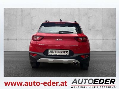 KIA Stonic Vorführwagen