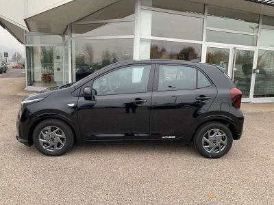 KIA Picanto Neuwagen
