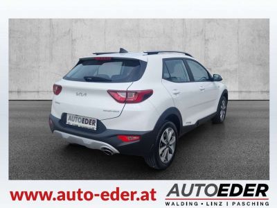 KIA Stonic Vorführwagen