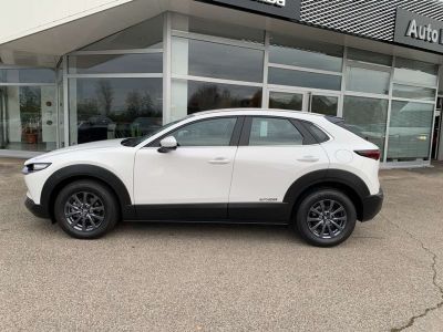 Mazda CX-30 Vorführwagen