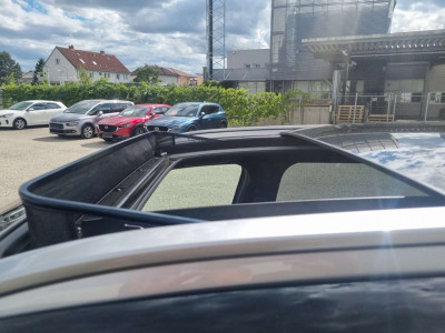 KIA Sorento Neuwagen