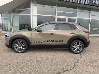 Mazda CX-30 Vorführwagen Mazda CX-30 Vorführwagen