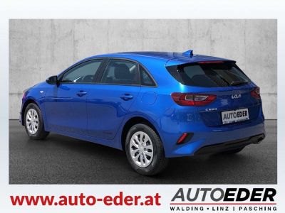 KIA Ceed Vorführwagen