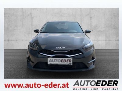 KIA Ceed Vorführwagen
