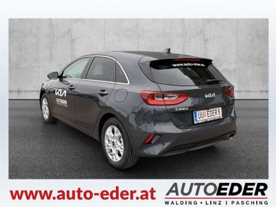 KIA Ceed Vorführwagen