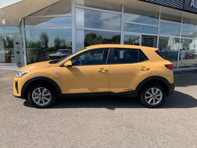 KIA Stonic Vorführwagen