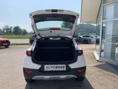 KIA Stonic Vorführwagen