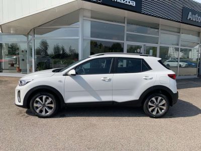 KIA Stonic Vorführwagen