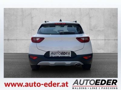 KIA Stonic Vorführwagen