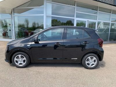 KIA Picanto Neuwagen KIA Picanto Neuwagen