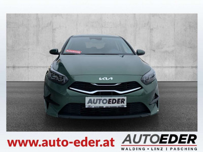 KIA Ceed Neuwagen