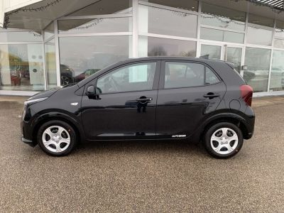 KIA Picanto Neuwagen