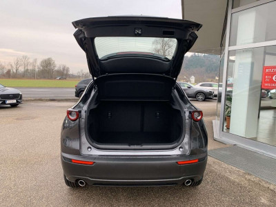 Mazda CX-30 Neuwagen