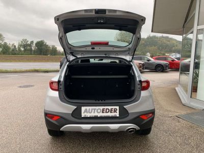 KIA Stonic Vorführwagen