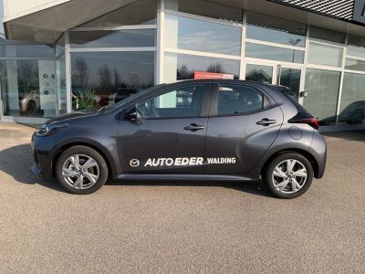 Mazda Mazda2 Vorführwagen Mazda Mazda2 Vorführwagen