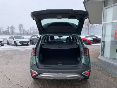 KIA Sportage Vorführwagen