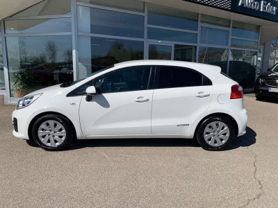 KIA Rio Gebrauchtwagen