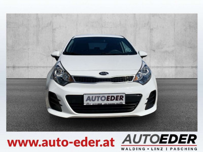 KIA Rio Gebrauchtwagen