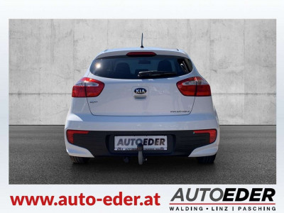 KIA Rio Gebrauchtwagen