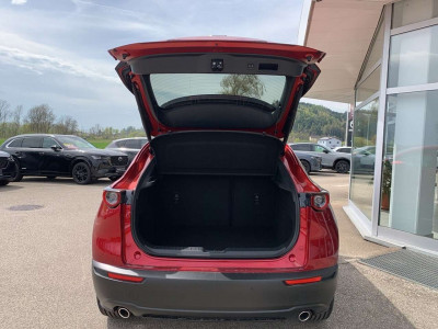 Mazda CX-30 Neuwagen