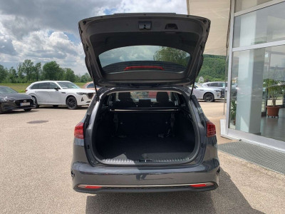 KIA Ceed Vorführwagen