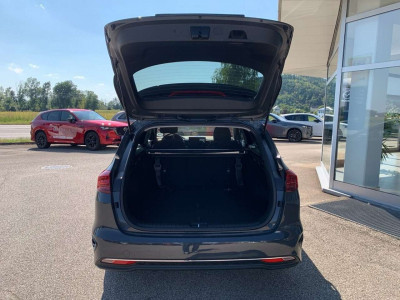 KIA Ceed Vorführwagen