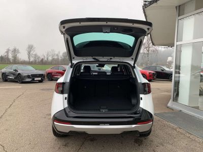 KIA Sportage Vorführwagen