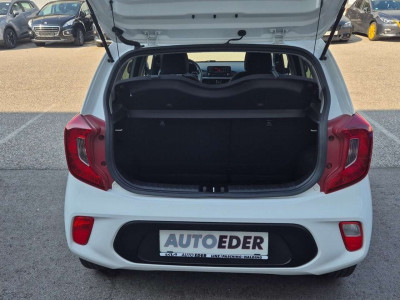 KIA Picanto Gebrauchtwagen KIA Picanto Gebrauchtwagen