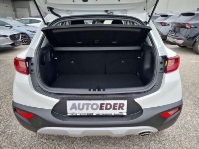 KIA Stonic Vorführwagen KIA Stonic Vorführwagen