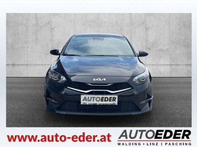 KIA Ceed Gebrauchtwagen
