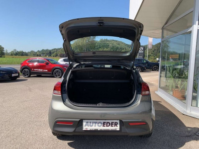 KIA Rio Gebrauchtwagen KIA Rio Gebrauchtwagen