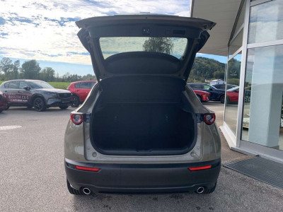 Mazda CX-30 Neuwagen Mazda CX-30 Neuwagen