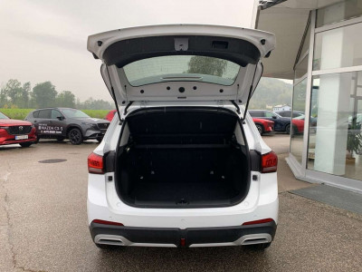 MG ZS Vorführwagen MG ZS Vorführwagen