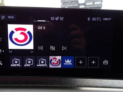 Peugeot 3008 Gebrauchtwagen