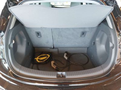 Opel Ampera-E Gebrauchtwagen