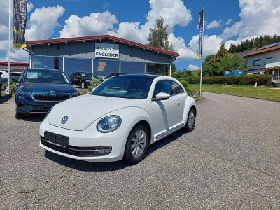 VW Beetle Gebrauchtwagen