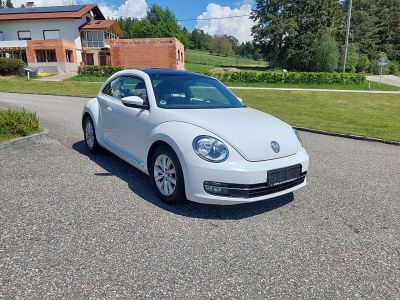 VW Beetle Gebrauchtwagen