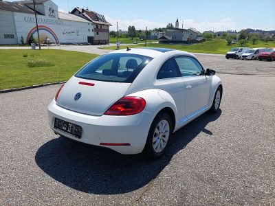 VW Beetle Gebrauchtwagen