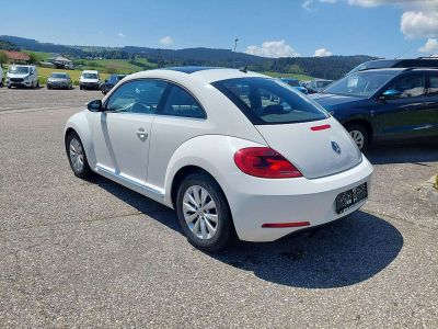 VW Beetle Gebrauchtwagen