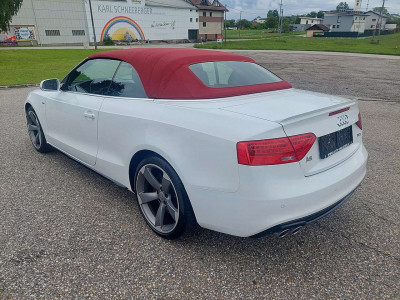 Audi A5 Gebrauchtwagen