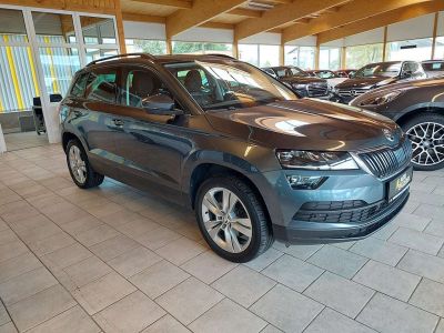 Skoda Karoq Gebrauchtwagen