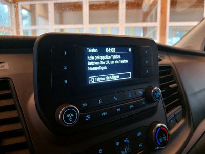 Ford Transit Custom Gebrauchtwagen