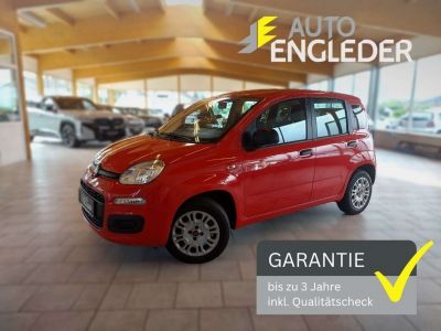 Fiat Panda Gebrauchtwagen Fiat Panda Gebrauchtwagen