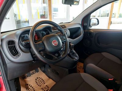 Fiat Panda Gebrauchtwagen