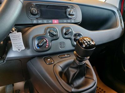 Fiat Panda Gebrauchtwagen