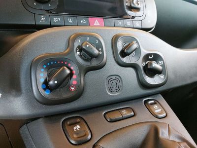 Fiat Panda Gebrauchtwagen