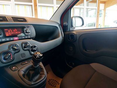 Fiat Panda Gebrauchtwagen