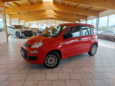 Fiat Panda Gebrauchtwagen
