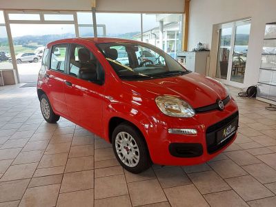Fiat Panda Gebrauchtwagen